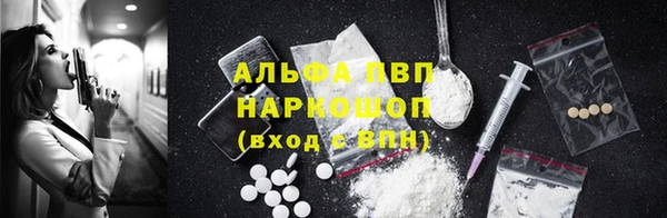 спайс Магас