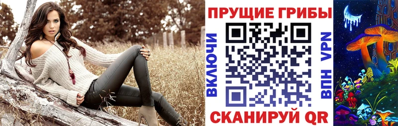 Псилоцибиновые грибы мицелий  что такое   Моршанск 