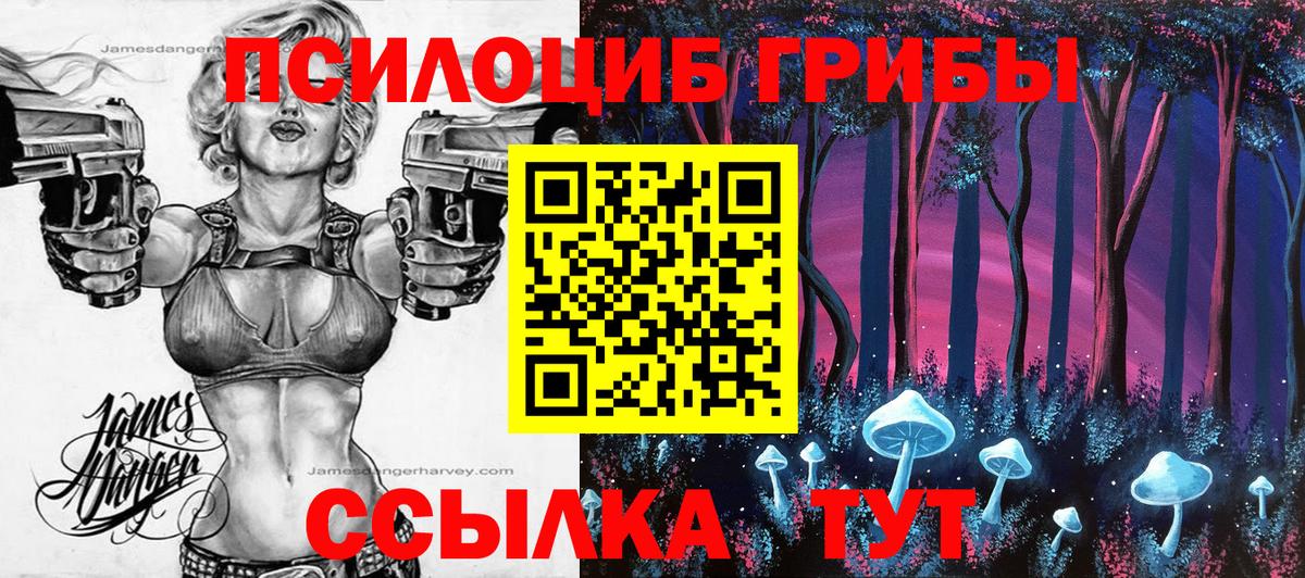 Псилоцибиновые грибы мицелий  Вход с VPN  Моршанск 
